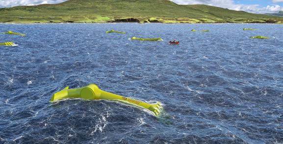 Mocean energy blue horizon wave farm Mocean energy blue horizon wave farm